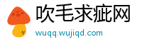 吹毛求疵网